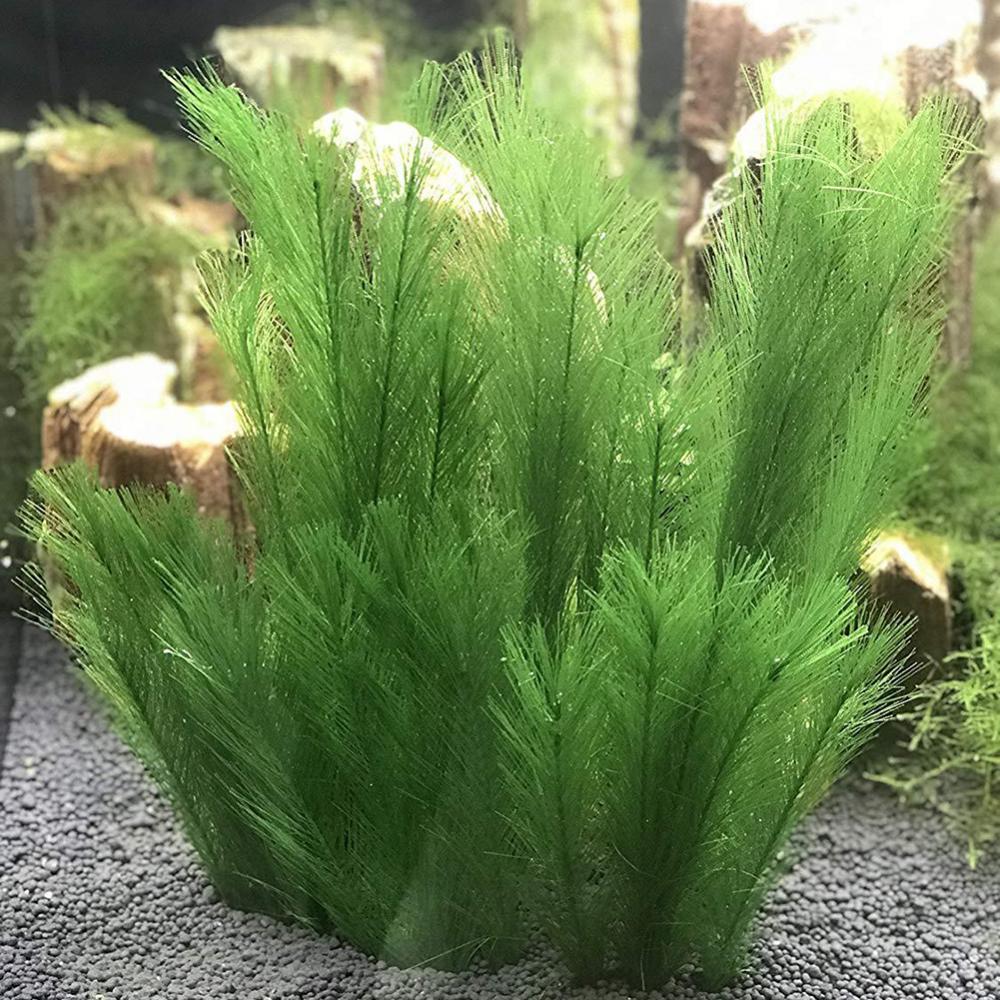Live Plant Aquarium - 1/3 個 28/40 センチメートル水族館の水槽人工水草水生植物造園装飾水中植物水雑草飾り