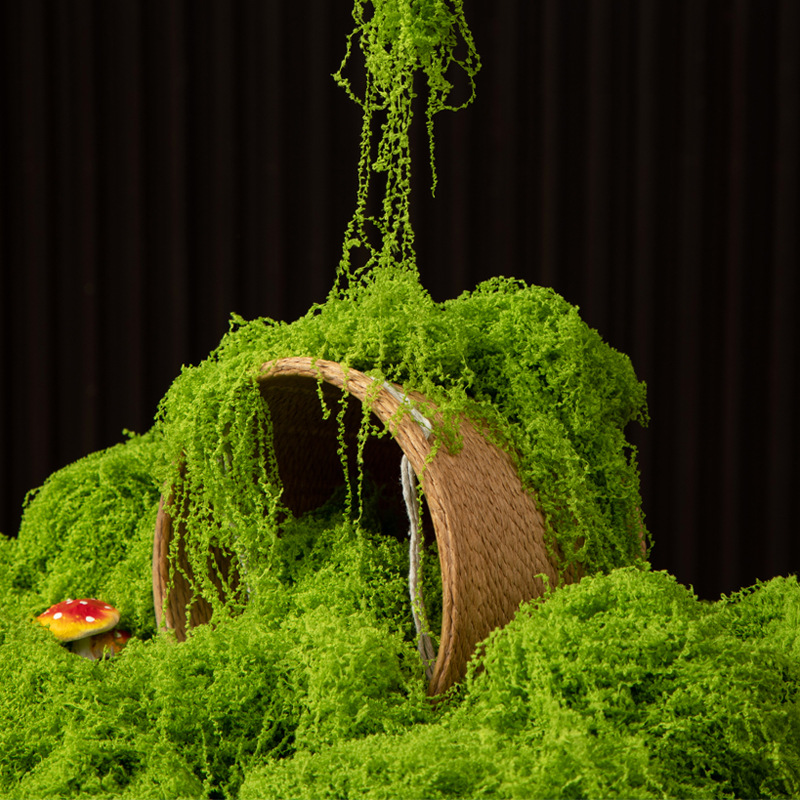 Aquarium Moss - 200 グラム永遠の命苔 DIY 工芸品草人工緑植物ホームルーム庭の装飾ミニ風景フェイク草盆栽