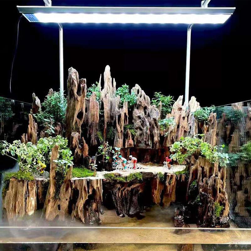 Aquarium Driftwood - エビ用木製水槽装飾品、天然の穴が付いたエビに適した天然木の水景装飾アクセサリー