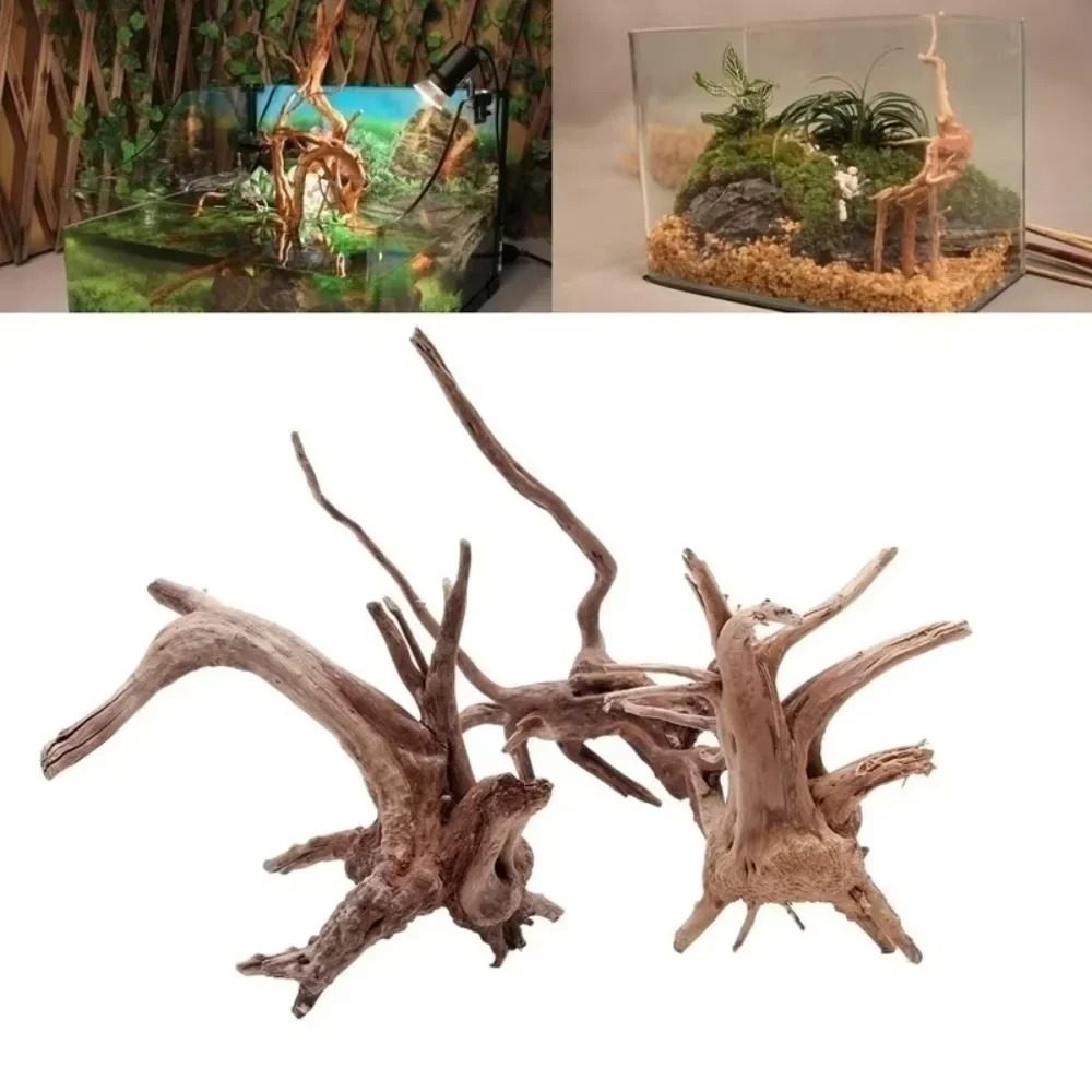 Aquarium Moss - 15～20cm天然流木水槽飾り - プレミアム木製水槽オーナメント、本物の木製造園で水生環境を演出