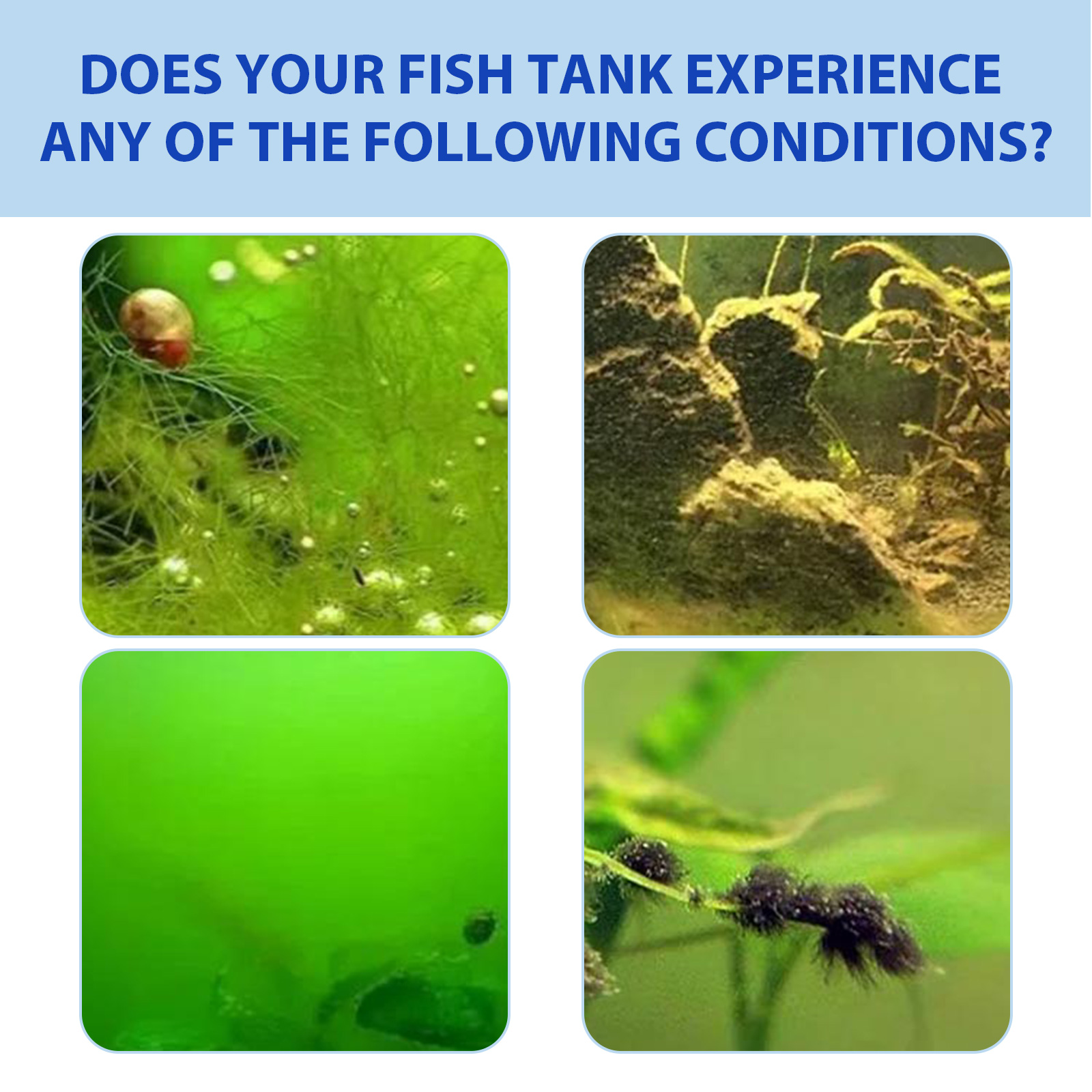 生物水槽藻類抑制粉末 - 魚タンク用急速浄水剤、熱帯魚、カメ - Planted Aquarium Algae Control のレビューと価格