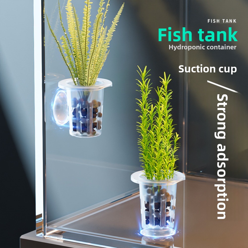 10個入り透明植物水耕栽培ポット、吸盤付きプラスチック製水草 - Aquarium Plants Live のレビューと価格