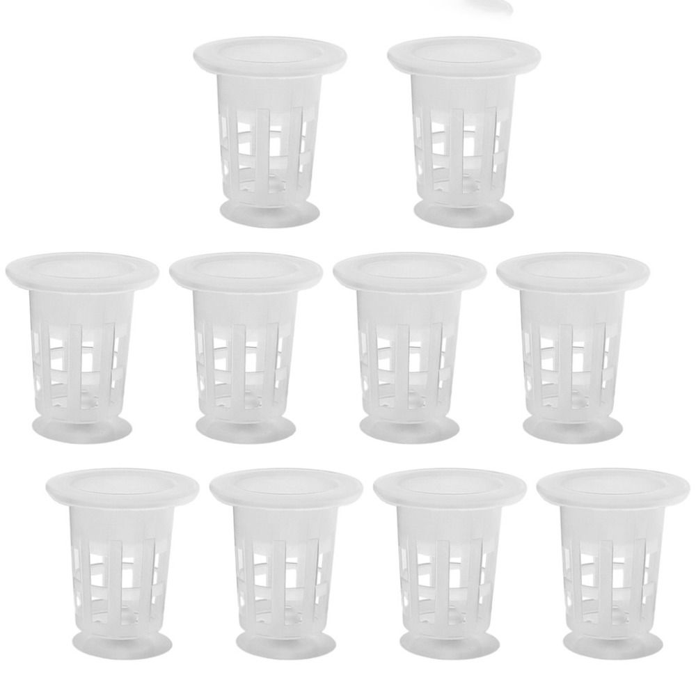 10個入り透明植物水耕栽培ポット、吸盤付きプラスチック製水草 - Aquarium Plants Live のレビューと価格