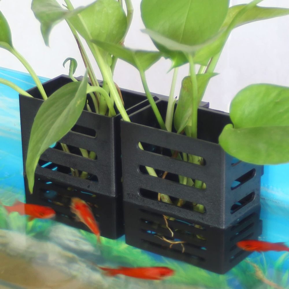 水族館の水槽用植物ホルダー、フックと吸盤付き、水生植物の栽培 - Aquarium Plant Holder のレビューと価格