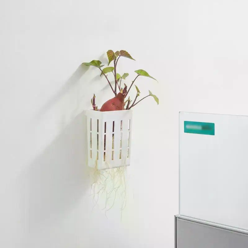水耕栽培用サポートバスケット1個、水槽用植栽カップ、水草水生 - Planted Tank のレビューと価格