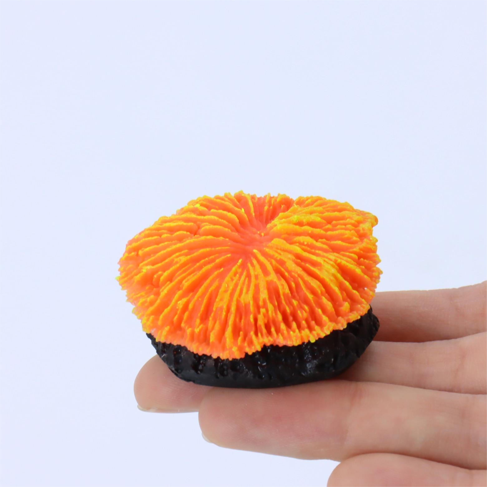 1個入り水槽装飾ソーコーラル、ミニ蛍光コーラル、水槽の景観装 - Aquarium Plants Live のレビューと価格