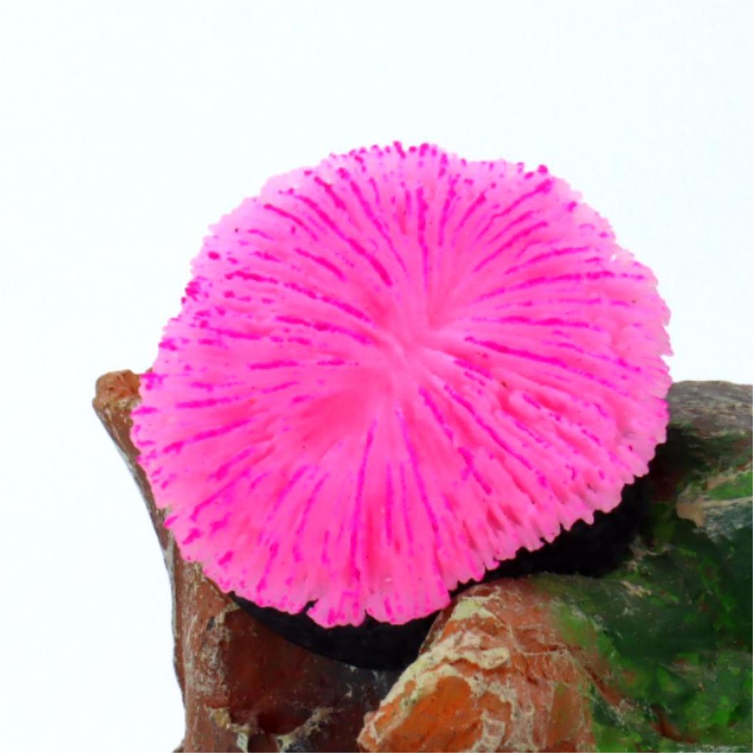 1個入り水槽装飾ソーコーラル、ミニ蛍光コーラル、水槽の景観装 - Aquarium Plants Live のレビューと価格