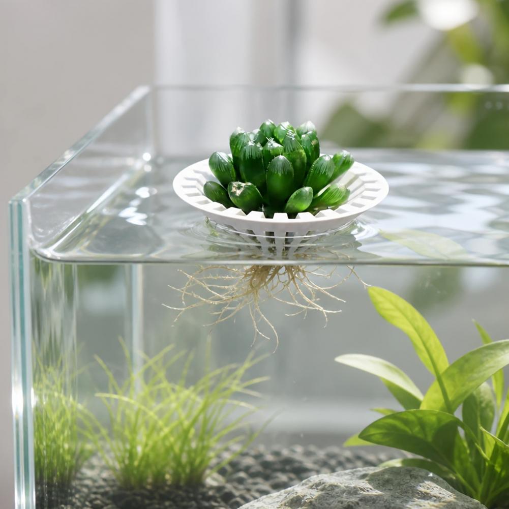 水槽用ハイドロポニックプランター 3Dプリント製フローティン - Aquarium Plant Holder のレビューと価格