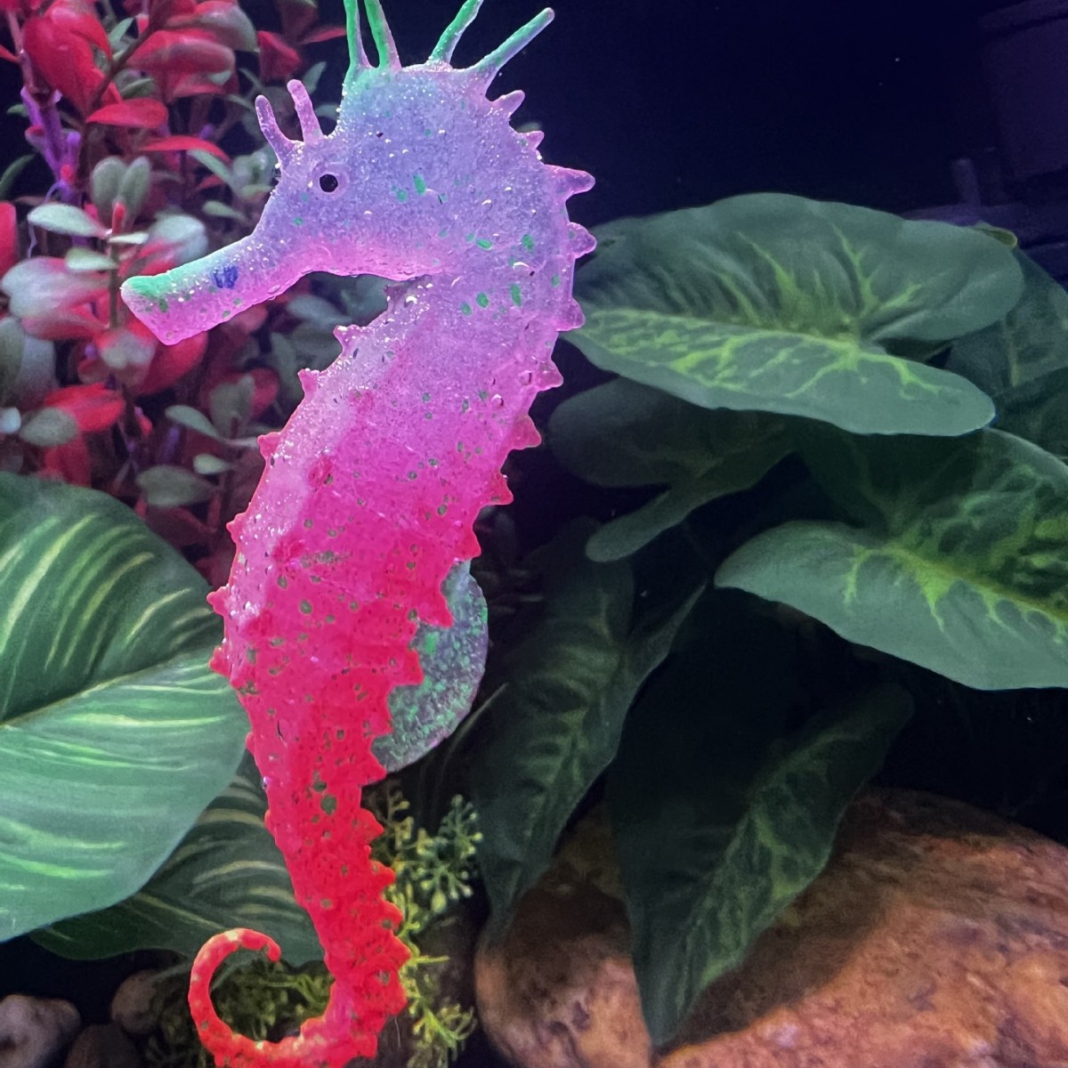 発光シミュレーションタツノオトシギ水槽装飾、人工魚オーナメン - Aquarium Plant Substrate のレビューと価格