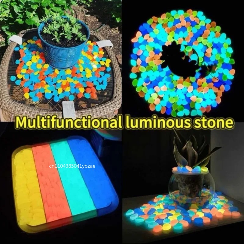 100～800個の暗闇で光る小石、景観、庭の小道、鉢植え、公 - Plant Aquarium Pot のレビューと価格