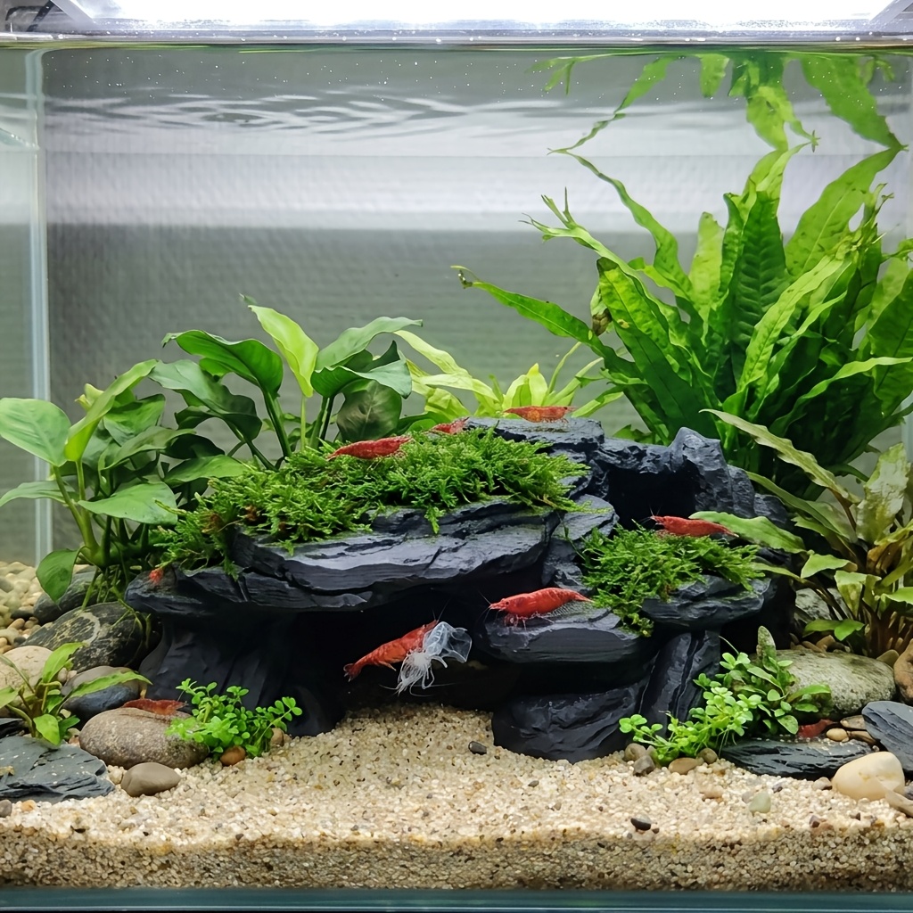 PLA洞窟水槽隠し魚タンク装飾、沈没プールプラットフォーム付 - Aquarium Plants Live のレビューと価格