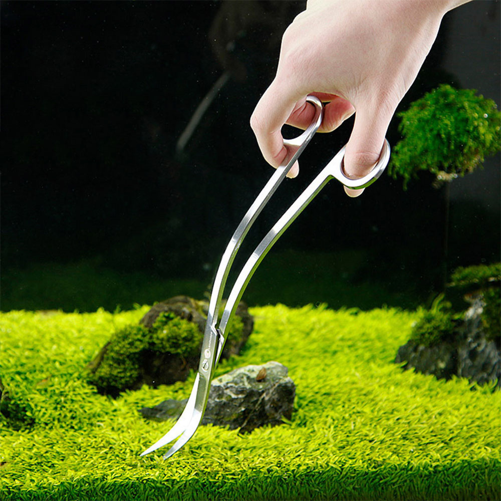 水族館アクセサリーハードステンレス鋼水族館ツールはさみピンセ - Planted Aquarium Cleaning のレビューと価格