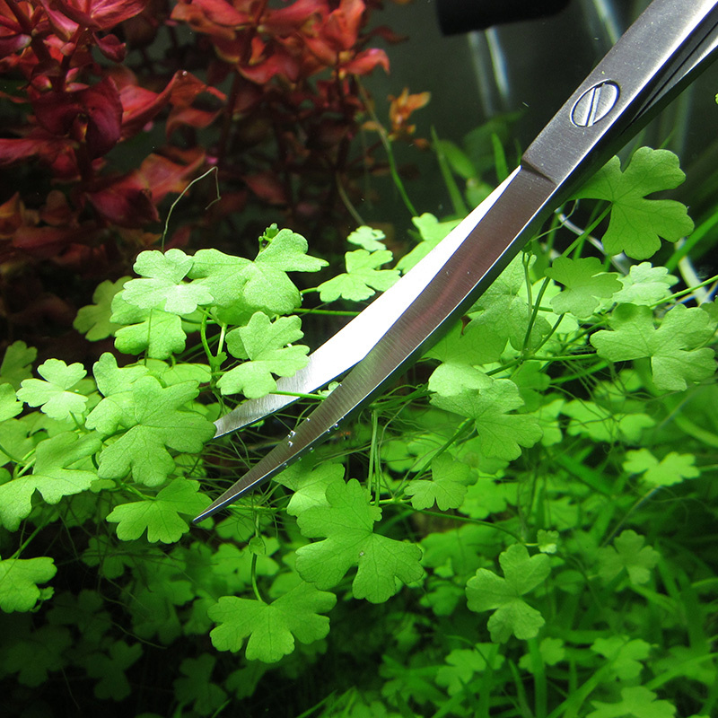水族館アクセサリーハードステンレス鋼水族館ツールはさみピンセ - Planted Aquarium Cleaning のレビューと価格