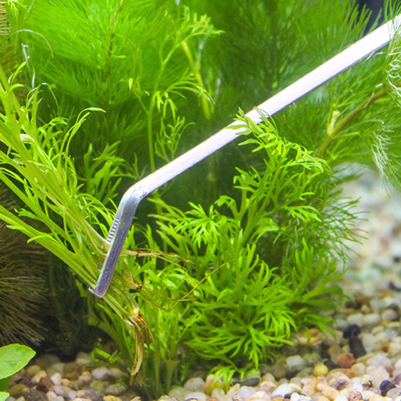 プロ仕様の水槽メンテナンスツールキット。水槽クリーナー、ピン - Aquarium Plants Live のレビューと価格