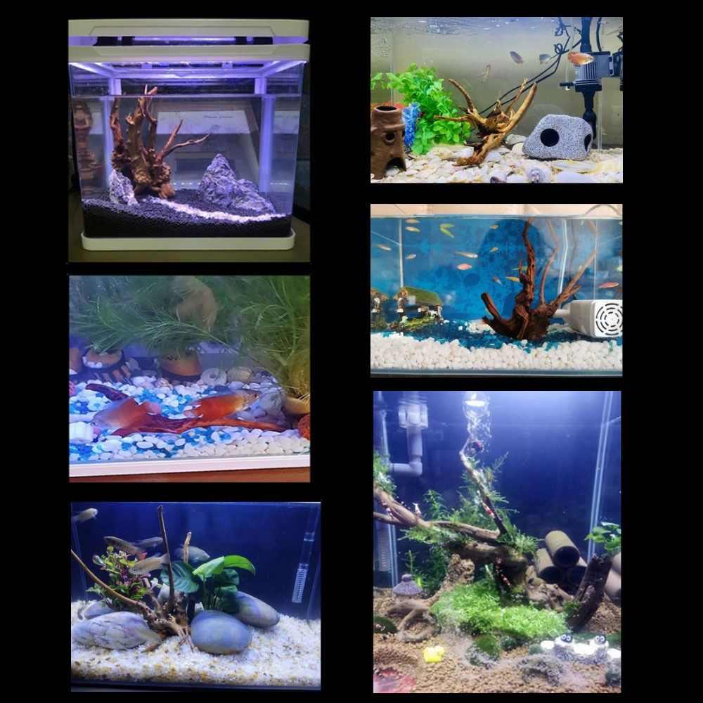20-25CM大型水槽流木天然魚タンク植物装飾ツリーフィッシ - Aquarium Driftwood のレビューと価格