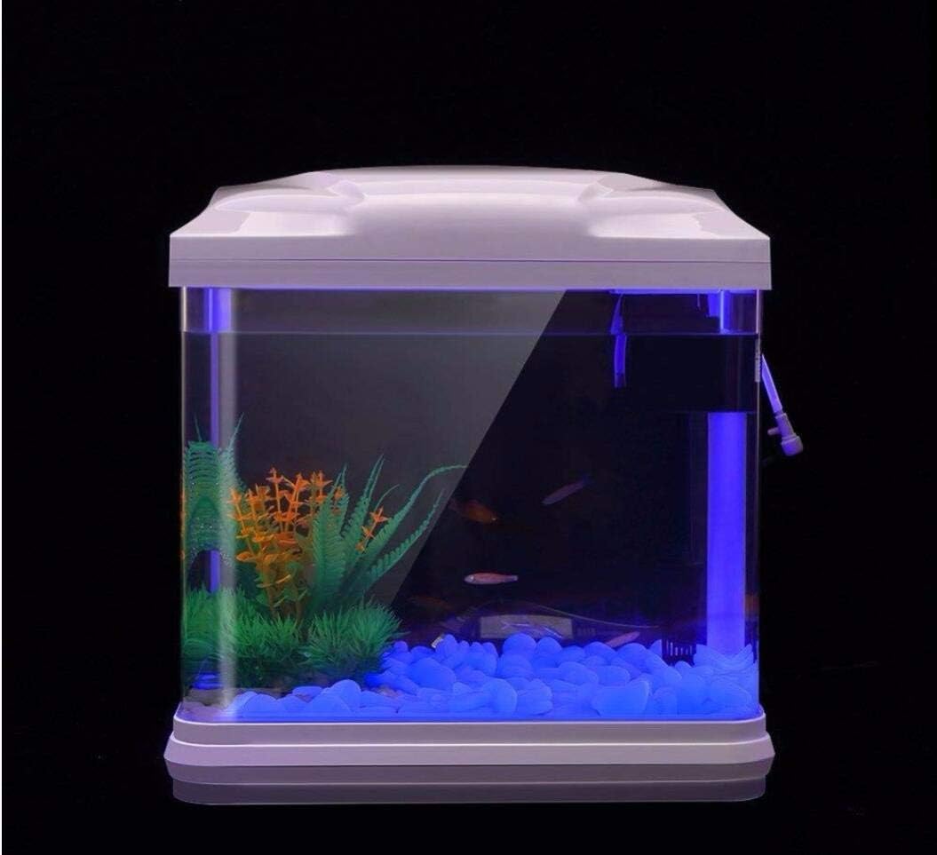 水槽岩グローブルー小石庭用水槽水族館植木鉢盆栽歩道私道 - Plant Aquarium Pot のレビューと価格