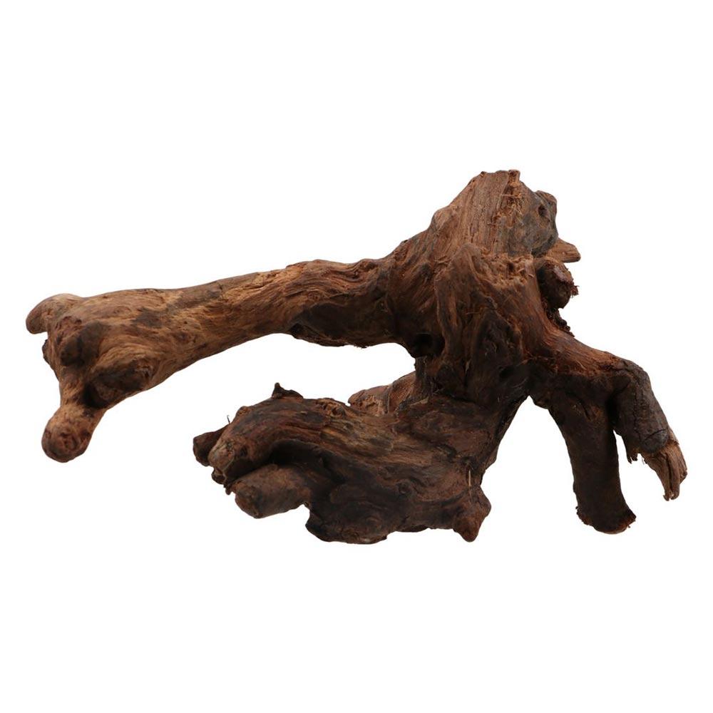 創造的な不規則な形の珊瑚ウッド、天然ウッド、流木、松の木の根 - Aquarium Driftwood のレビューと価格