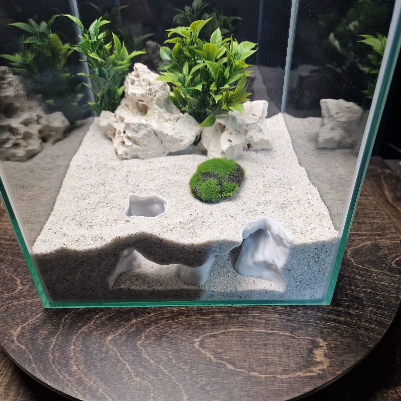 プレミアム3Dプリント製海岸砂水槽洞窟シェルター魚エビ繁殖隠 - Aquarium Driftwood のレビューと価格