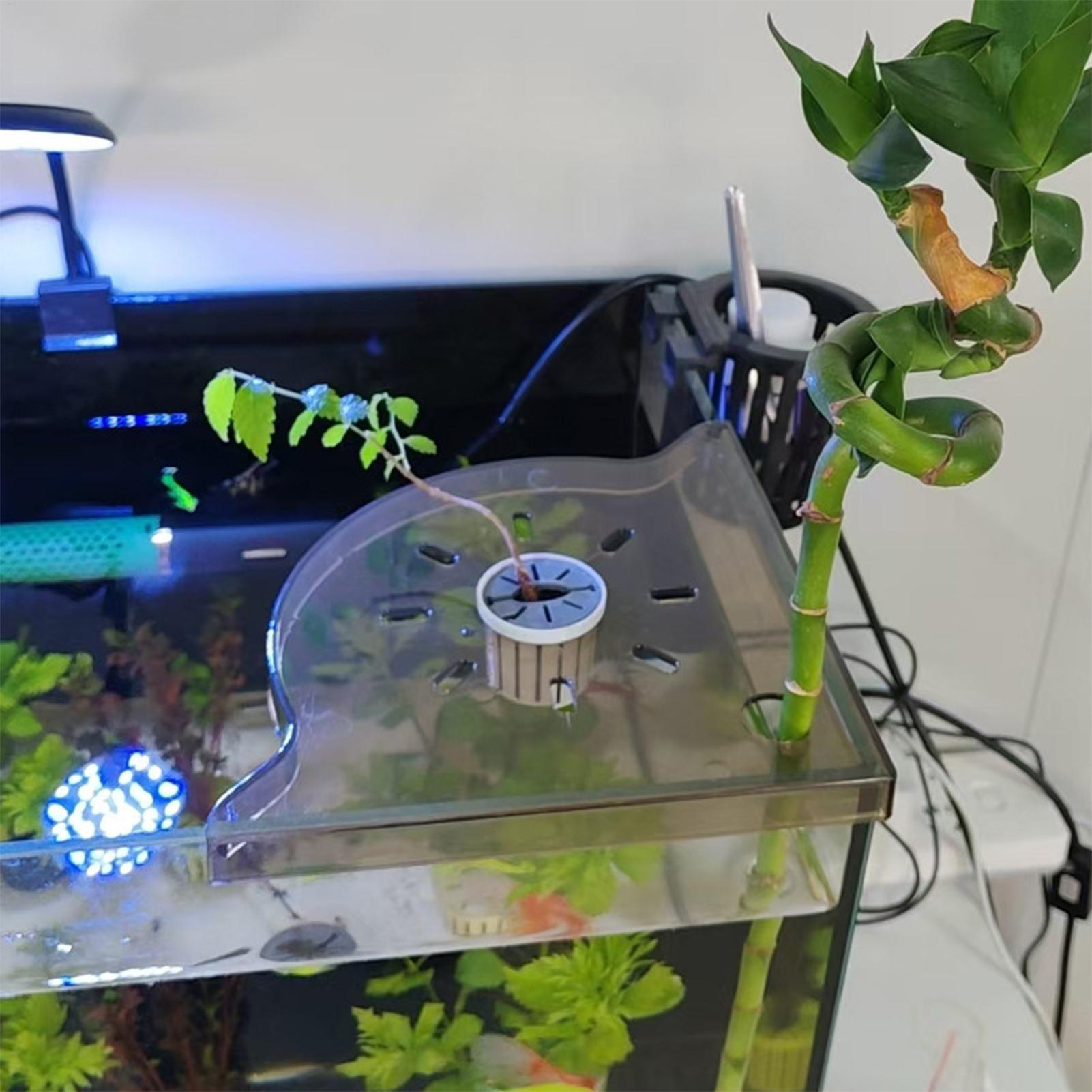 三角形の水槽用コーナー収納ラック、水槽用植物ホルダー、穴あけ - Aquarium Plants Live のレビューと価格