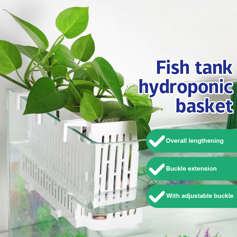 【F】水槽用吊り下げプランター、水生植物ホルダー、耐熱性、水 - Aquarium Plant Holder のレビューと価格