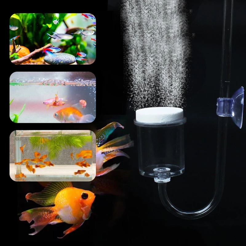 水族館用CO2ディフューザー,日曜大工のガラスタンク,バブル - Aquarium Moss のレビューと価格